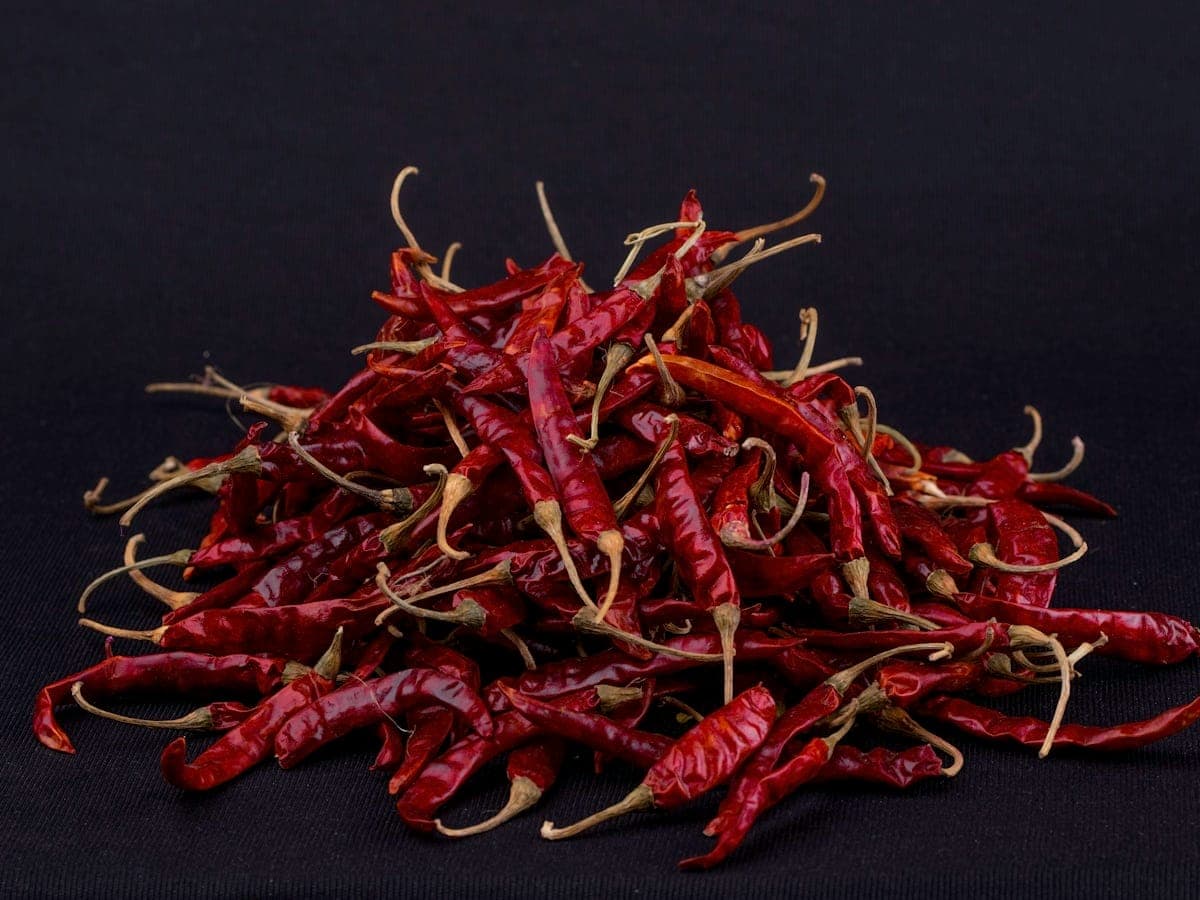A deep pile of dried red chiles