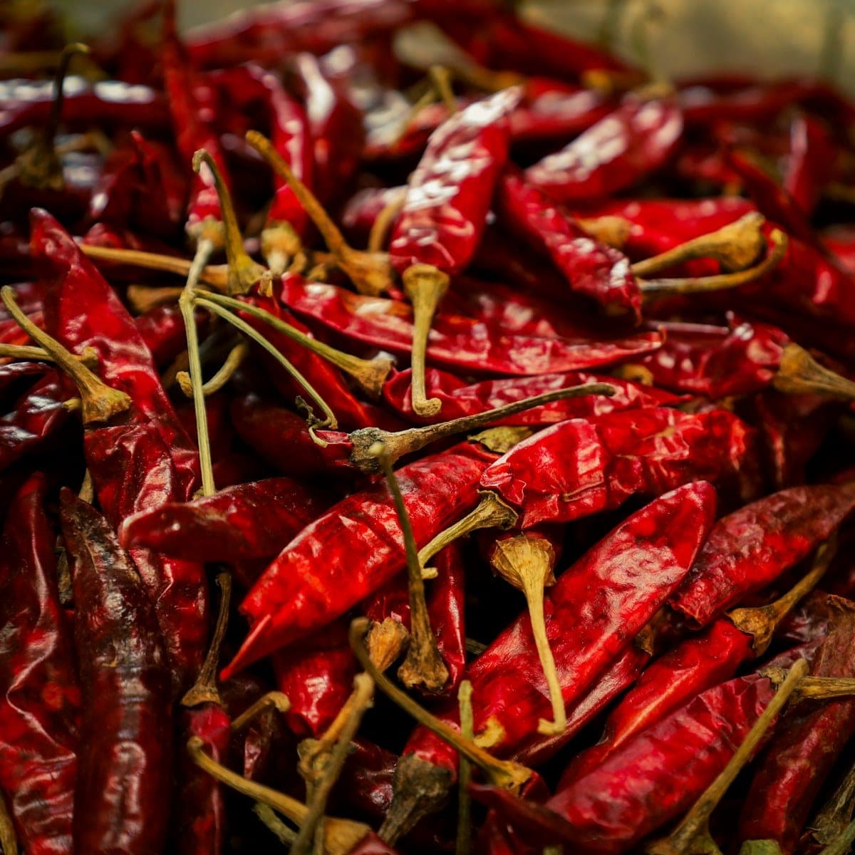 Whole dried guajillo chiles piled with stems intact