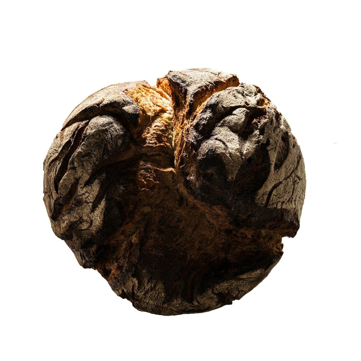 A single plump morita chipotle chile, dark and glossy